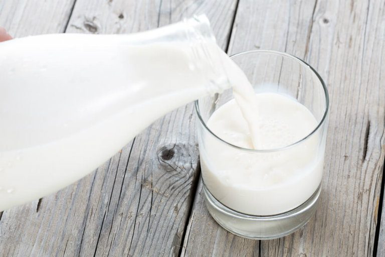 proteína do leite e probióticos